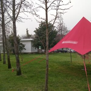 CARPA ESTRELLA